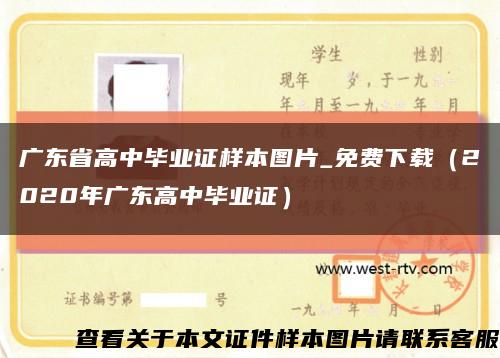 广东省高中毕业证样本图片_免费下载（2020年广东高中毕业证）缩略图