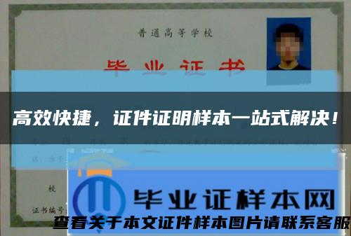 高效快捷，证件证明样本一站式解决！缩略图