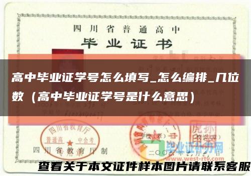 高中毕业证学号怎么填写_怎么编排_几位数（高中毕业证学号是什么意思）缩略图