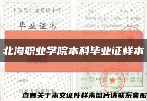 北海职业学院本科毕业证样本缩略图