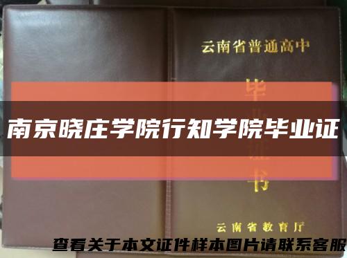 南京晓庄学院行知学院毕业证缩略图