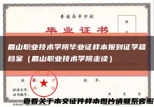 眉山职业技术学院毕业证样本报到证学籍档案（眉山职业技术学院走读）缩略图