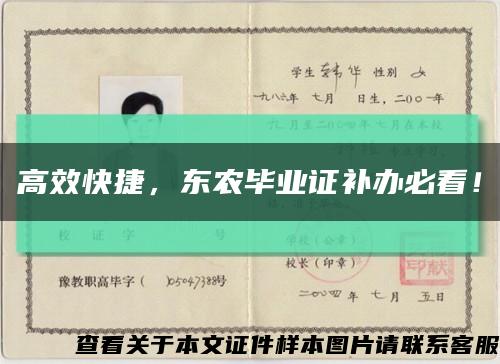 高效快捷，东农毕业证补办必看！缩略图