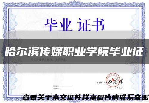 哈尔滨传媒职业学院毕业证缩略图