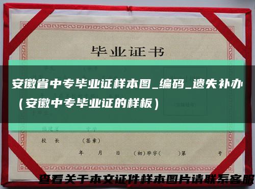 安徽省中专毕业证样本图_编码_遗失补办（安徽中专毕业证的样板）缩略图