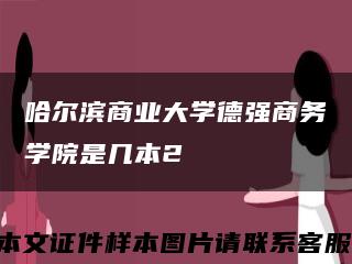 哈尔滨商业大学德强商务学院是几本2缩略图
