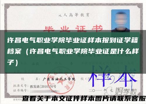 许昌电气职业学院毕业证样本报到证学籍档案（许昌电气职业学院毕业证是什么样子）缩略图