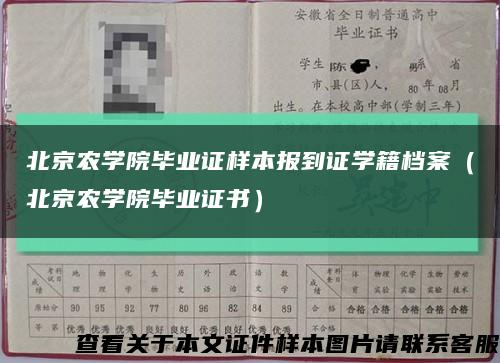 北京农学院毕业证样本报到证学籍档案（北京农学院毕业证书）缩略图
