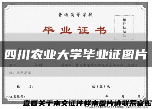 四川农业大学毕业证图片缩略图