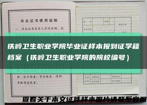 铁岭卫生职业学院毕业证样本报到证学籍档案（铁岭卫生职业学院的院校编号）缩略图