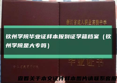 钦州学院毕业证样本报到证学籍档案（钦州学院是大专吗）缩略图
