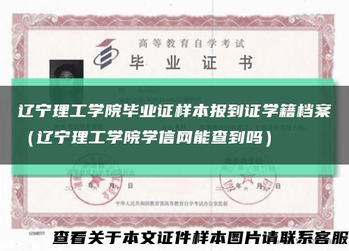 辽宁理工学院毕业证样本报到证学籍档案（辽宁理工学院学信网能查到吗）缩略图
