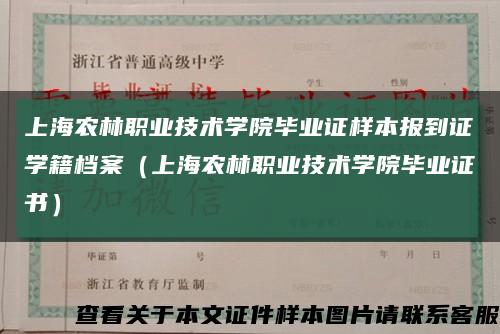 上海农林职业技术学院毕业证样本报到证学籍档案（上海农林职业技术学院毕业证书）缩略图
