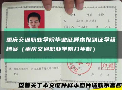 重庆交通职业学院毕业证样本报到证学籍档案（重庆交通职业学院几年制）缩略图