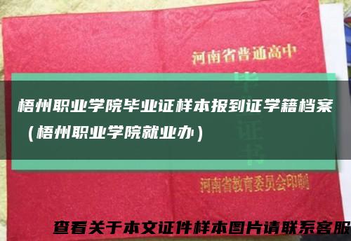 梧州职业学院毕业证样本报到证学籍档案（梧州职业学院就业办）缩略图