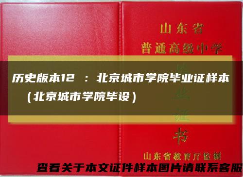 历史版本12 ：北京城市学院毕业证样本 （北京城市学院毕设）缩略图