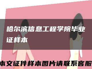 哈尔滨信息工程学院毕业证样本缩略图