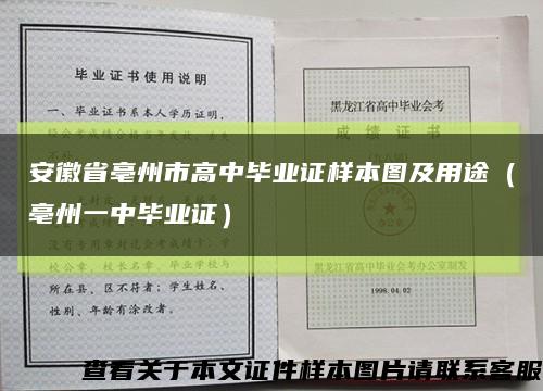 安徽省亳州市高中毕业证样本图及用途（亳州一中毕业证）缩略图