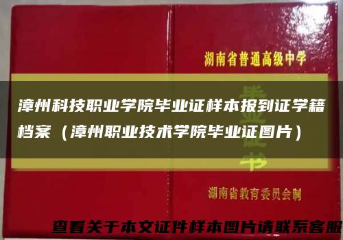 漳州科技职业学院毕业证样本报到证学籍档案（漳州职业技术学院毕业证图片）缩略图