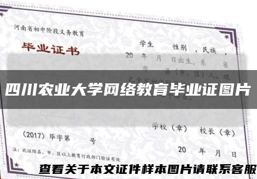 四川农业大学网络教育毕业证图片缩略图