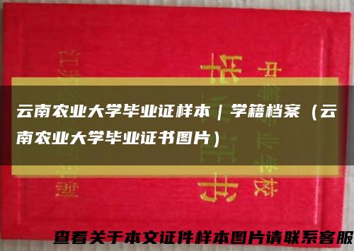 云南农业大学毕业证样本｜学籍档案（云南农业大学毕业证书图片）缩略图