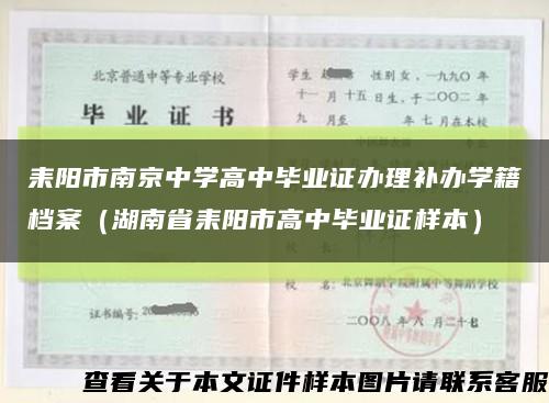 耒阳市南京中学高中毕业证办理补办学籍档案（湖南省耒阳市高中毕业证样本）缩略图