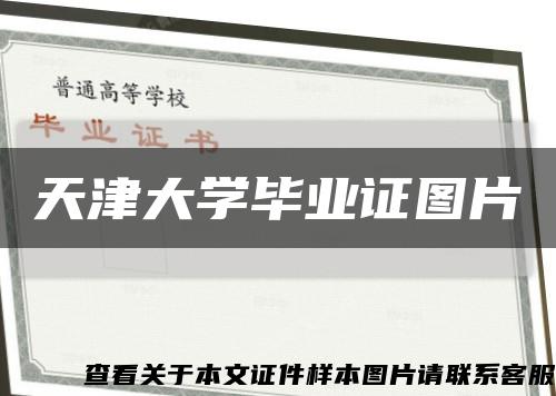 天津大学毕业证图片缩略图