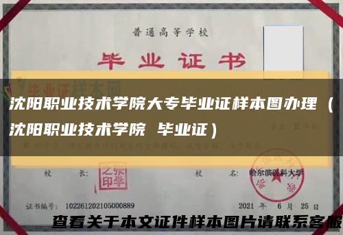 沈阳职业技术学院大专毕业证样本图办理（沈阳职业技术学院 毕业证）缩略图