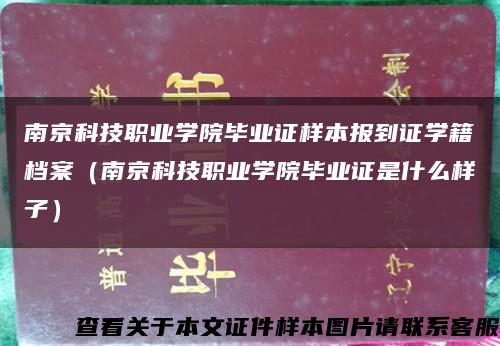 南京科技职业学院毕业证样本报到证学籍档案（南京科技职业学院毕业证是什么样子）缩略图