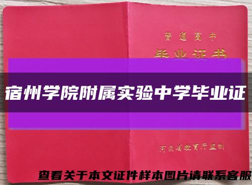 宿州学院附属实验中学毕业证缩略图
