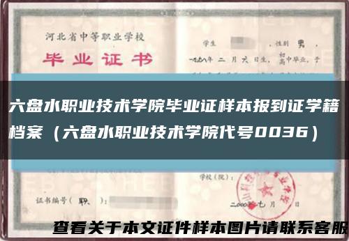 六盘水职业技术学院毕业证样本报到证学籍档案（六盘水职业技术学院代号0036）缩略图