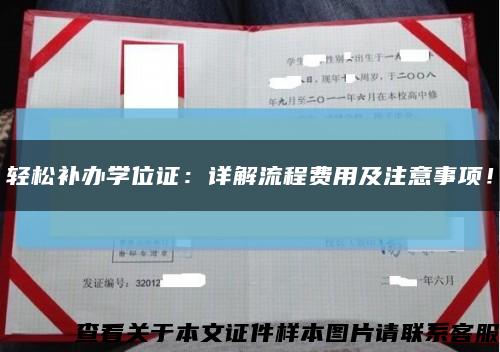 轻松补办学位证：详解流程费用及注意事项！缩略图