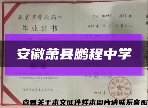 安徽萧县鹏程中学缩略图