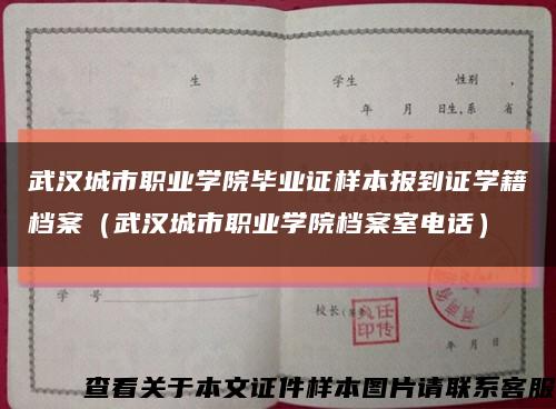 武汉城市职业学院毕业证样本报到证学籍档案（武汉城市职业学院档案室电话）缩略图
