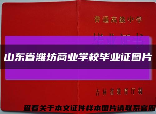 山东省潍坊商业学校毕业证图片缩略图
