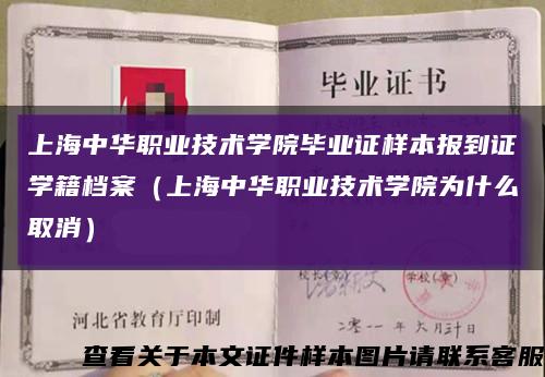 上海中华职业技术学院毕业证样本报到证学籍档案（上海中华职业技术学院为什么取消）缩略图