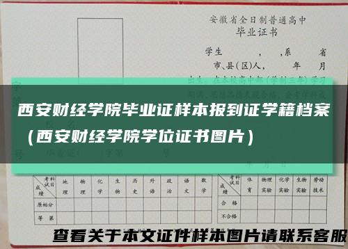 西安财经学院毕业证样本报到证学籍档案（西安财经学院学位证书图片）缩略图