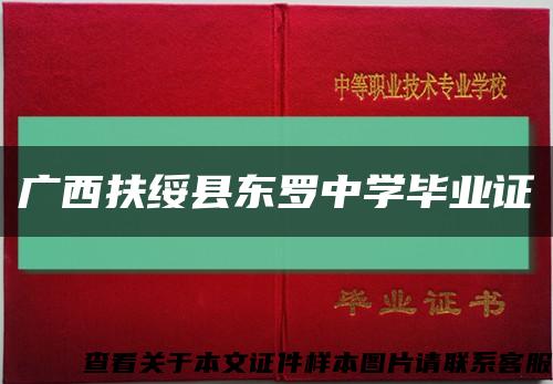 广西扶绥县东罗中学毕业证缩略图