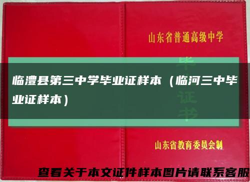 临澧县第三中学毕业证样本（临河三中毕业证样本）缩略图