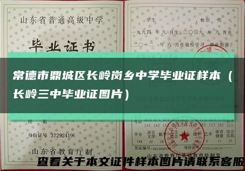 常德市鼎城区长岭岗乡中学毕业证样本（长岭三中毕业证图片）缩略图