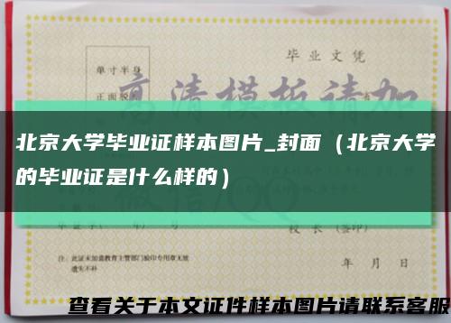 北京大学毕业证样本图片_封面（北京大学的毕业证是什么样的）缩略图