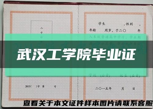武汉工学院毕业证缩略图