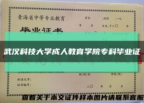 武汉科技大学成人教育学院专科毕业证缩略图