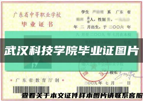 武汉科技学院毕业证图片缩略图