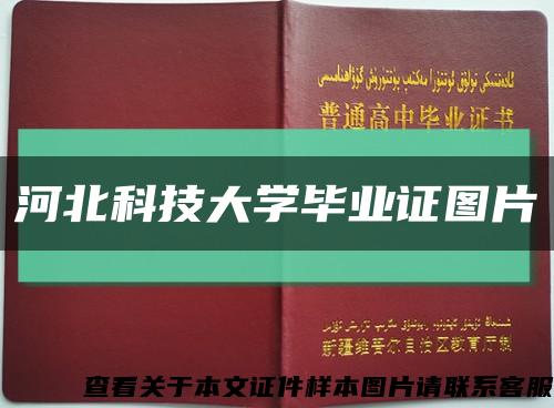 河北科技大学毕业证图片缩略图