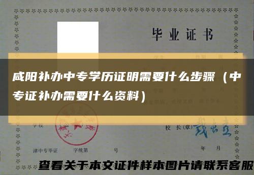 咸阳补办中专学历证明需要什么步骤（中专证补办需要什么资料）缩略图