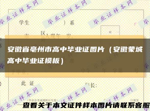 安徽省亳州市高中毕业证图片（安徽蒙城高中毕业证模板）缩略图