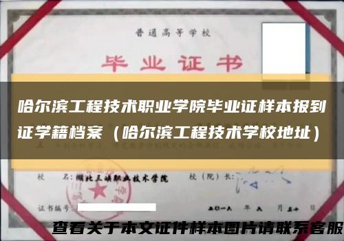 哈尔滨工程技术职业学院毕业证样本报到证学籍档案（哈尔滨工程技术学校地址）缩略图