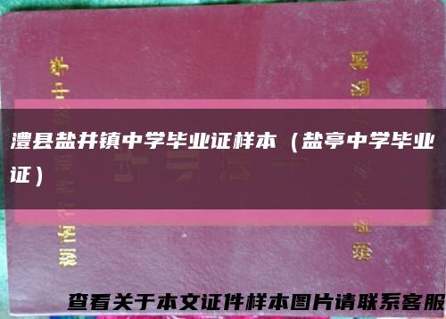 澧县盐井镇中学毕业证样本（盐亭中学毕业证）缩略图