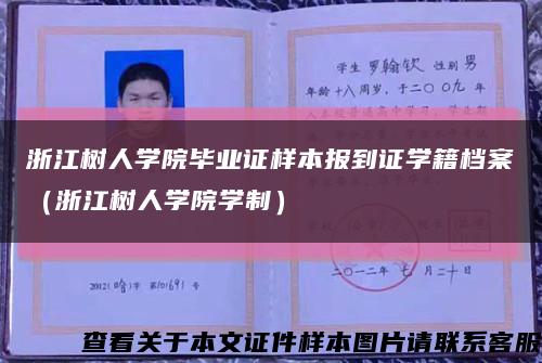 浙江树人学院毕业证样本报到证学籍档案（浙江树人学院学制）缩略图